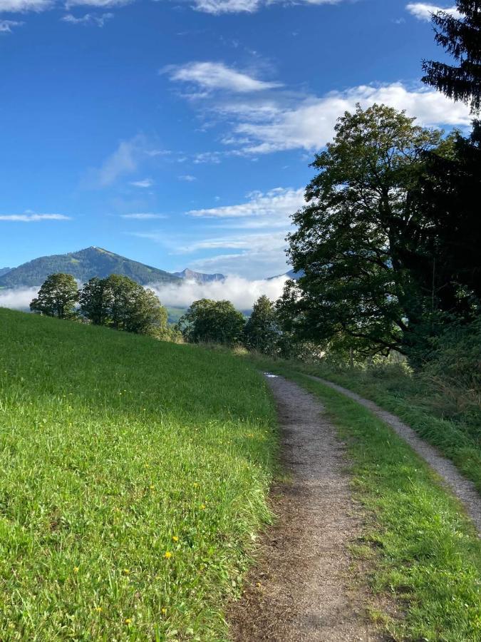 Appartements Blumenwiese Ramsau am Dachstein Eksteriør bilde